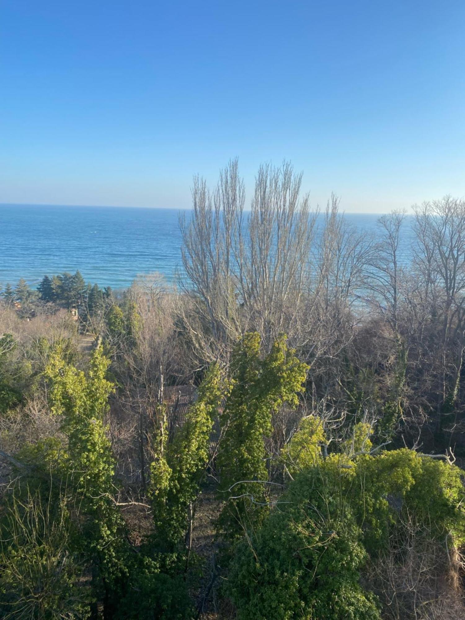 Queen'S Palace Balchik Apartment エクステリア 写真